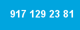 917 129 23 81 917 129 23 81